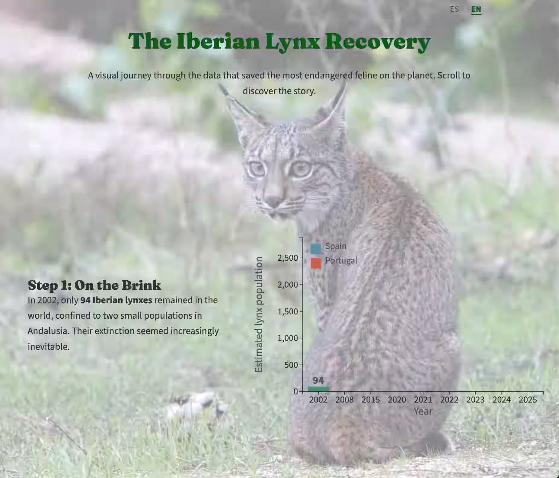 Iberian Lynx recovery scrollytelling visualization