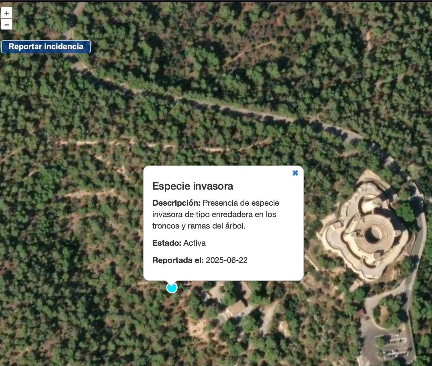 trees app visualization